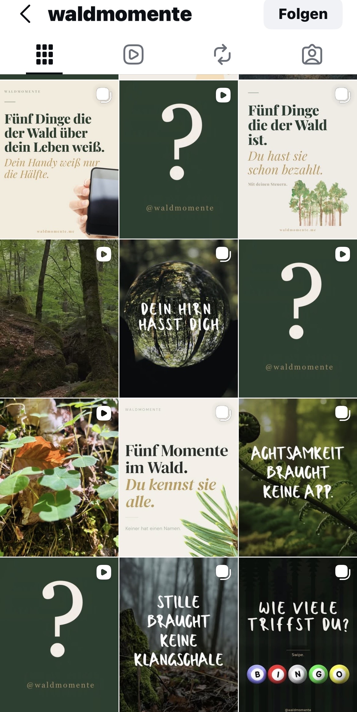 @waldmomente Instagram Feed
