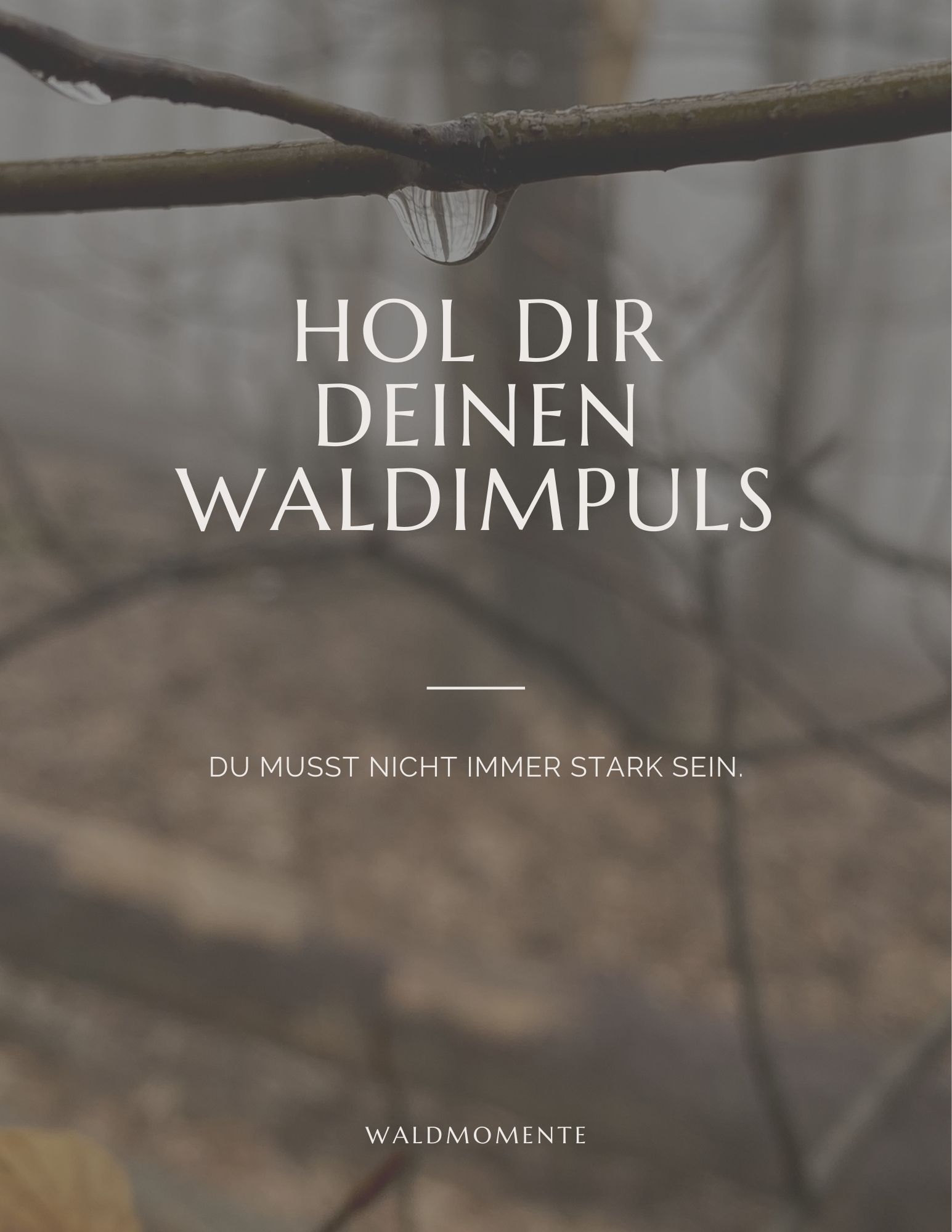 Das Waldmomente Workbook – Cover