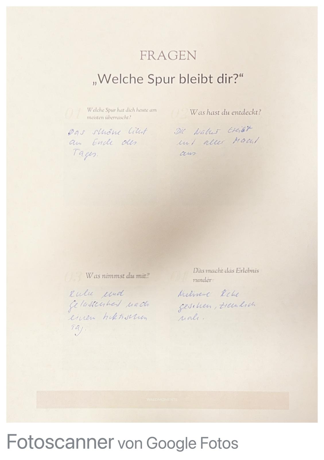 Teilnehmerin beim Waldbaden – Erfahrung mit Waldmomente auf der Spur