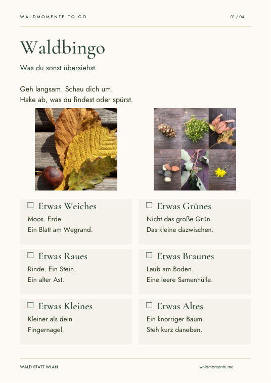 Waldbingo Vorschau