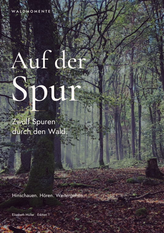 Cover Waldmomente auf der Spur